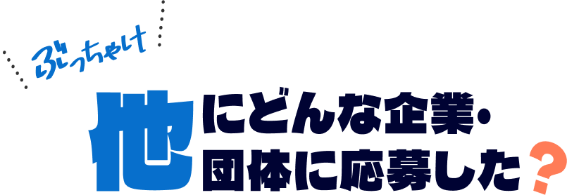 ぶっちゃけ他にどんな企業・団体に応募した？